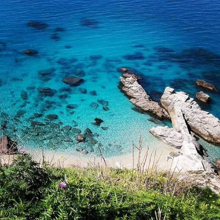 Ninfa Sul Mare Apartments 50 M E T R I Dal Mare Parcheggio Gratuito Custodito Capo Vaticano Dış mekan fotoğraf