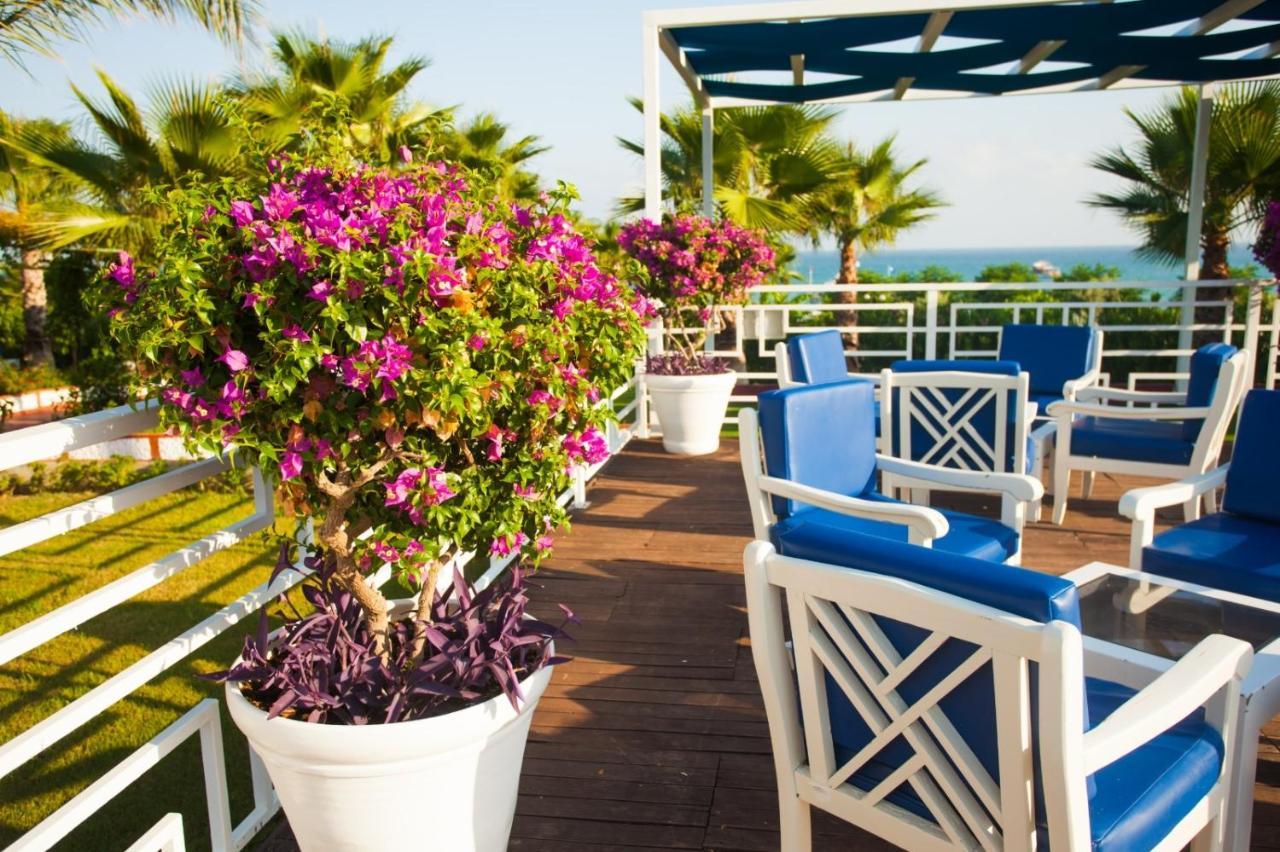 Ninfa Sul Mare Apartments 50 M E T R I Dal Mare Parcheggio Gratuito Custodito Capo Vaticano Dış mekan fotoğraf