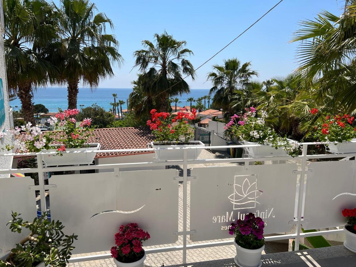 Ninfa Sul Mare Apartments 50 M E T R I Dal Mare Parcheggio Gratuito Custodito Capo Vaticano Dış mekan fotoğraf